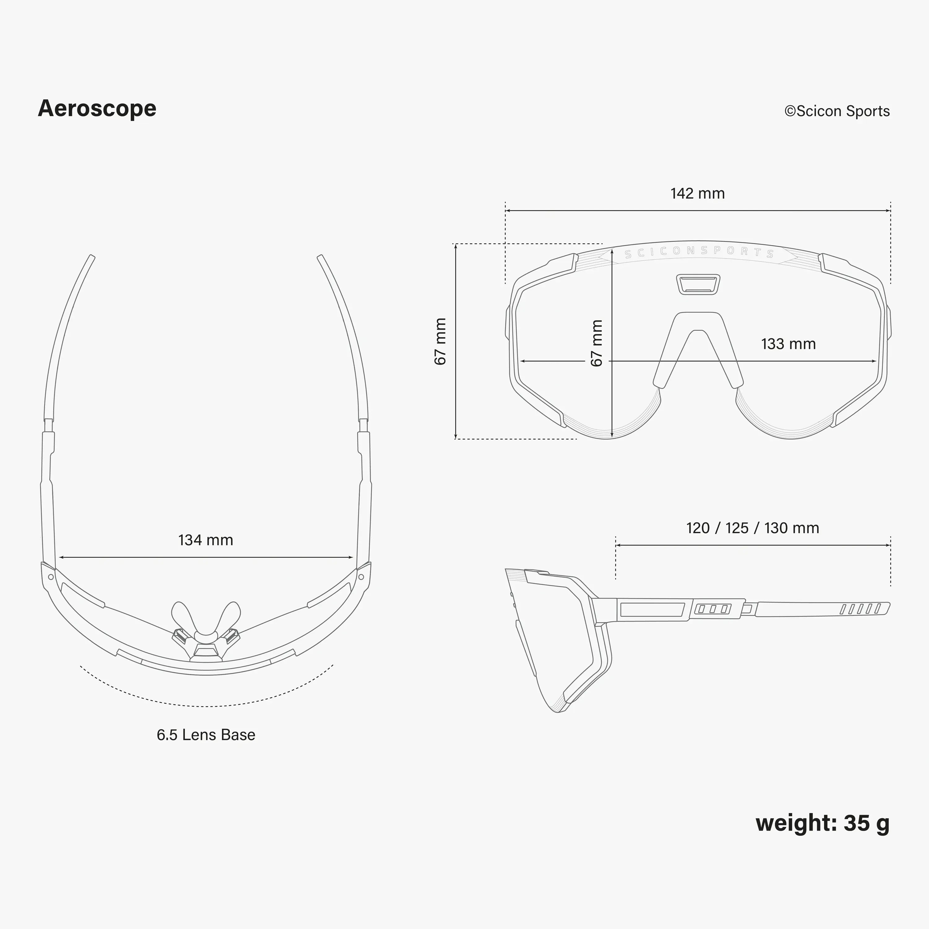 AEROSCOPE SCNPP Photocromic Silver Black Gloss
